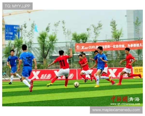 深圳足球队总决赛技术分析与表现评估全面解读