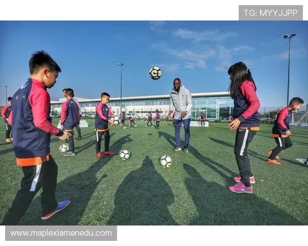 足球明星小白鞋背后的传奇故事与梦想追逐之旅